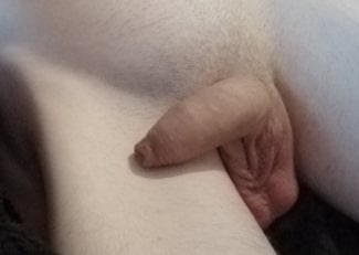 Soft dick pictures