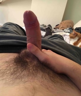 Hard cock with pubic hair