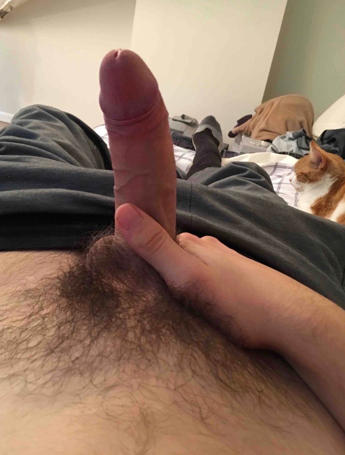Cock In Hair